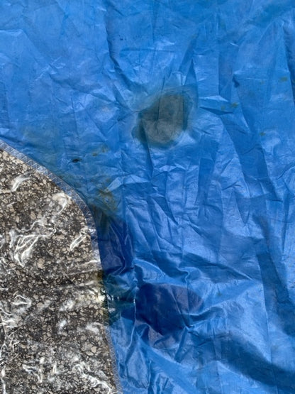 Windsurf - JF Le Noan - $50.00 - (Sku=0008, LU=14', LE=11.8', FT=7.1', LP=')