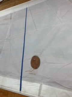 RF Genoa - Hood - $950.00 - (Sku=0036, LU=47.3', LE=45.8', FT=28.0', LP=26.6')