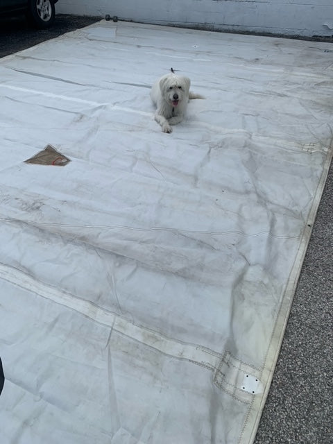 Main - UK Sail Makers - $600.00 - (Sku=0065, LU=34.0', LE=37.6', FT=17.2', LP=')